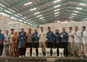 DPKP Kabupaten Tangerang Periksa Beras Bantuan Bapanas di Gudang Bulog Cikande
