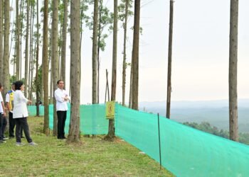 Pagi Hari di IKN, Presiden Tunjukkan Para Menteri Pemandangan IKN dari Atas Bukit