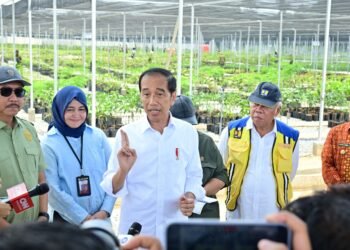 Persemaian Mentawir Hampir Selesai, Presiden: Ini untuk Hijaukan IKN