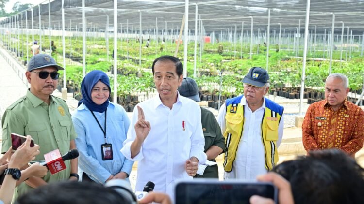 Persemaian Mentawir Hampir Selesai, Presiden: Ini untuk Hijaukan IKN