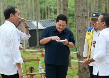 Presiden Jokowi Lanjutkan Kunjungan Hari Ketiga di IKN