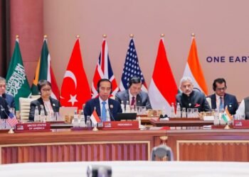 Presiden Jokowi Paparkan Sejumlah Upaya Atasi Peningkatan Suhu Dunia di KTT G20 India