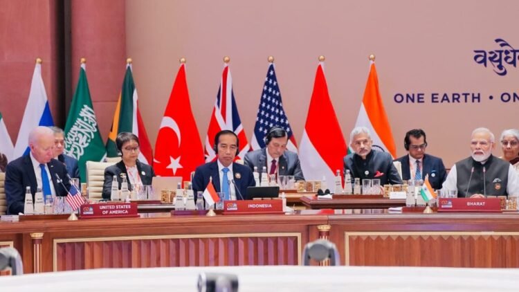 Presiden Jokowi Paparkan Sejumlah Upaya Atasi Peningkatan Suhu Dunia di KTT G20 India