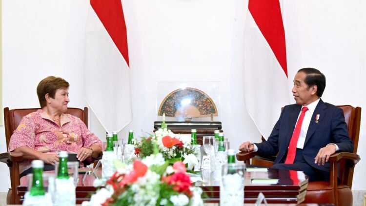 Terima Direktur Pelaksana IMF, Presiden Bahas Situasi Ekonomi Global