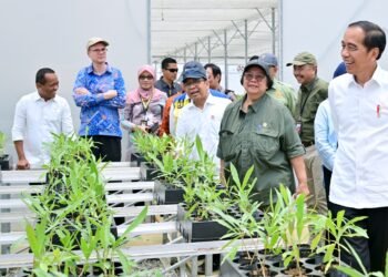 Tinjau Persemaian Mentawir, Presiden: Ini Komitmen Kita pada Lingkungan