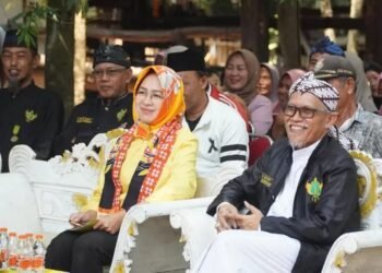 Ali Akipin: Airin Rachmi Diany Punya Wawasan Membangun yang Luar Biasa