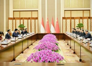 Bertemu PM RRT, Presiden Jokowi Apresiasi Kemitraan Indonesia-RRT