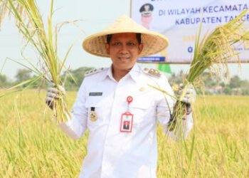 PJ Bupati Tangerang Andi Ony Prihartono Gelar Panen Raya Padi Bersama Petani