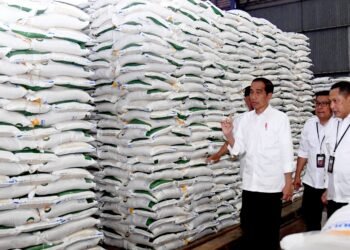 Presiden Jokowi: Cadangan Beras Harus Ada Meski Produksi Surplus
