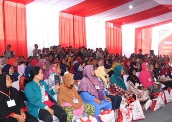 Presiden Jokowi Tinjau Persediaan Beras dan Serahkan Bantuan Pangan di Palembang