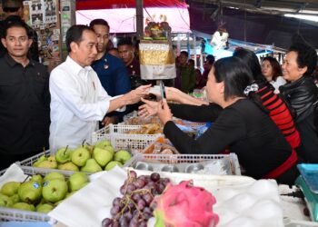 Tinjau Pasar Bulan di Gianyar, Presiden Jokowi Dorong Perbanyak Suplai Beras