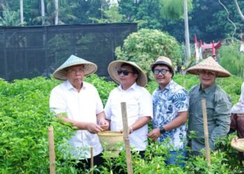 Jaga Ketahanan Pangan, Benyamin Panen Jagung Pulut hingga Bawang Merah