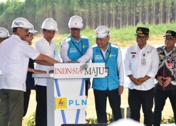 Pembangunan PLTS IKN untuk Sistem Kelistrikan Andal dan Ramah Lingkungan