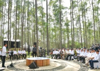 Presiden Jokowi Ajak Semua Pihak Ikut Serta Bangun IKN