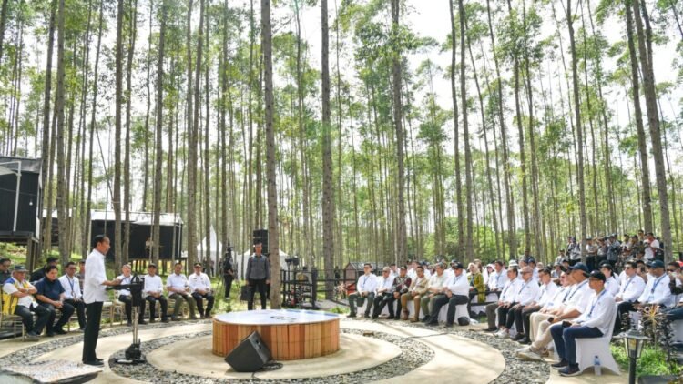 Presiden Jokowi Ajak Semua Pihak Ikut Serta Bangun IKN