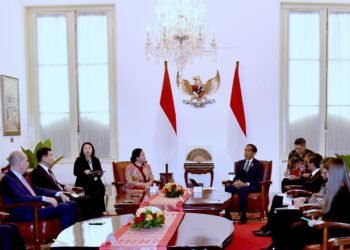 Presiden Jokowi Bahas Upaya MIKTA Ciptakan Perdamaian di Palestina