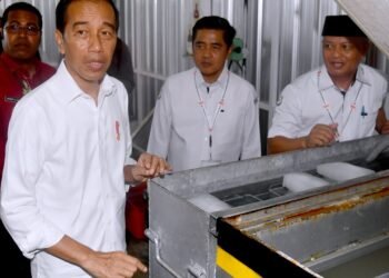 Presiden Jokowi Dorong Pengelolaan dan Penyaluran Hasil Laut di Biak Numfor
