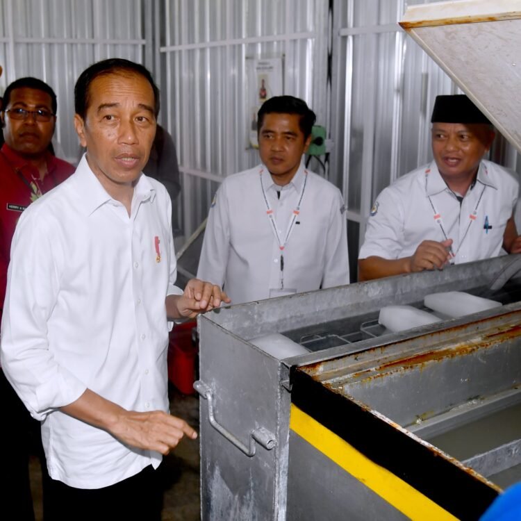 Presiden Jokowi Dorong Pengelolaan dan Penyaluran Hasil Laut di Biak Numfor