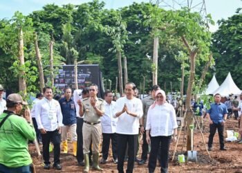 Presiden Jokowi Tegaskan Pembangunan IKN Ciptakan Titik Pertumbuhan Ekonomi Baru