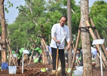 Tanam Pohon Serentak, Presiden Jokowi Tegaskan Langkah Nyata Atasi Perubahan Iklim