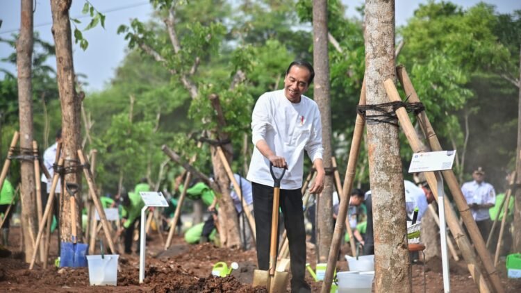 Tanam Pohon Serentak, Presiden Jokowi Tegaskan Langkah Nyata Atasi Perubahan Iklim