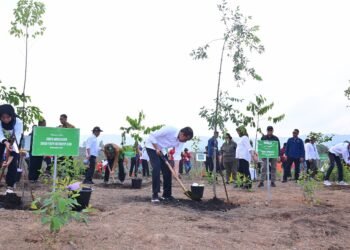 Mulai Penghijauan IKN, Presiden: Untuk Bangun Hutan Hujan Tropis Yang Beragam
