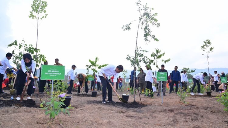 Mulai Penghijauan IKN, Presiden: Untuk Bangun Hutan Hujan Tropis Yang Beragam