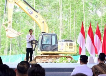 Presiden Jokowi Sambut Baik Kontribusi Investor Lokal dalam Pembangunan IKN