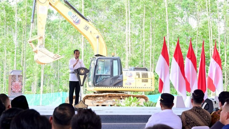 Presiden Jokowi Sambut Baik Kontribusi Investor Lokal dalam Pembangunan IKN