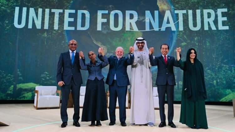 Presiden Jokowi Sampaikan Langkah Indonesia Capai Net Carbon Sink Sektor Hutan dan Lahan