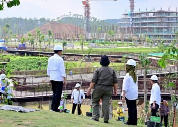 Presiden Jokowi Tanam Pohon Bersama di Area Sumbu Kebangsaan IKN