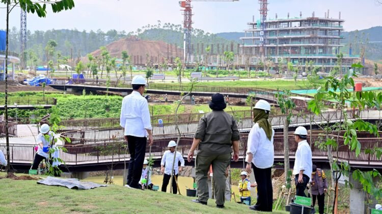 Presiden Jokowi Tanam Pohon Bersama di Area Sumbu Kebangsaan IKN