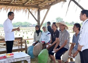 Presiden Jokowi Tinjau Penanaman Padi dan Serap Aspirasi Petani di Pekalongan