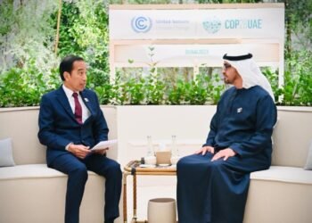 Presiden Jokowi dan Presiden MBZ Bahas Peningkatan Kerja Sama Indonesia-PEA