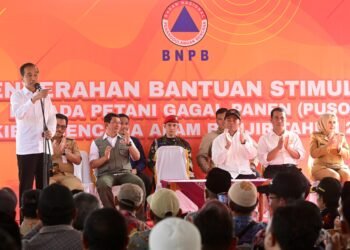 Salurkan BLT Puso, Presiden Jokowi Minta Petani Segera Tanam Kembali