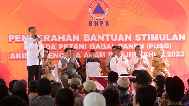 Salurkan BLT Puso, Presiden Jokowi Minta Petani Segera Tanam Kembali