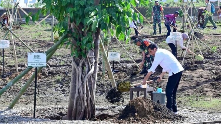 Tanam Pohon Bersama Masyarakat, Presiden: Ini Tindakan Nyata Hadapi Perubahan Iklim