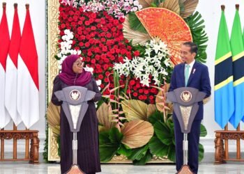 Indonesia-Tanzania Sepakat Tingkatkan Kerja Sama Perdagangan hingga Kesehatan