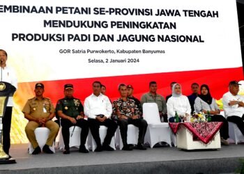 Presiden Jokowi Apresiasi Peran Petani Tingkatkan Produksi Jagung