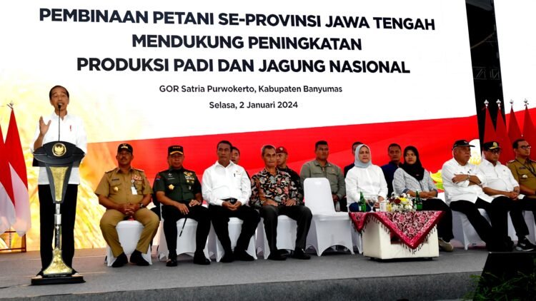 Presiden Jokowi Apresiasi Peran Petani Tingkatkan Produksi Jagung
