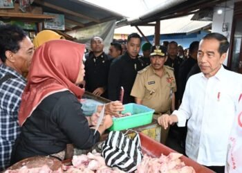 Presiden Jokowi Cek Harga Bahan Pokok dan Bagikan Bansos di Pasar Mungkid Magelang