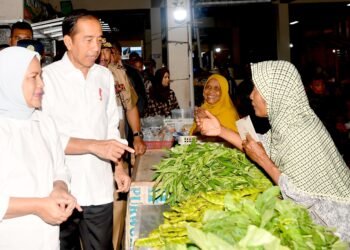 Saat Presiden dan Ibu Iriana Cek Harga sambil Belanja di Pasar Tradisional Purworejo