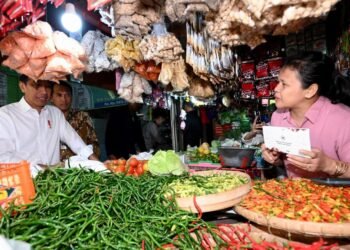 Presiden Jokowi Tinjau Stok dan Harga Bahan Pokok di Pasar Kota Wonogiri
