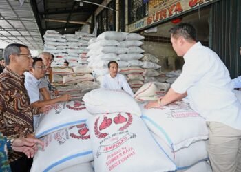 Tinjau Pasar Induk Cipinang, Presiden Jokowi Pastikan Stok Beras Tersedia
