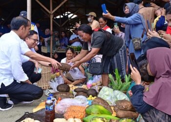Kunjungi Pasar Salakan, Presiden Jokowi Tinjau Harga Bahan Pokok di Banggai Kepulauan