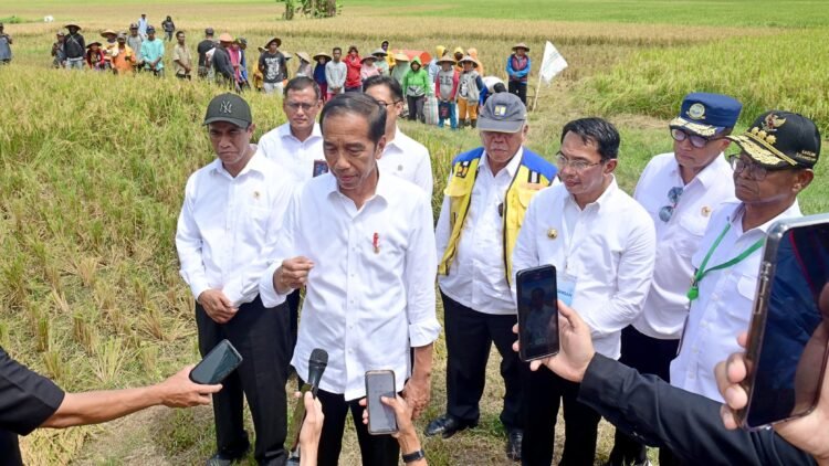 Presiden Jokowi Apresiasi Kemenangan Telak Timnas Indonesia atas Vietnam