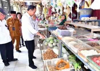 Presiden Jokowi Cek Harga dan Stok Bahan Pokok di Pasar Kawat Tanjungbalai