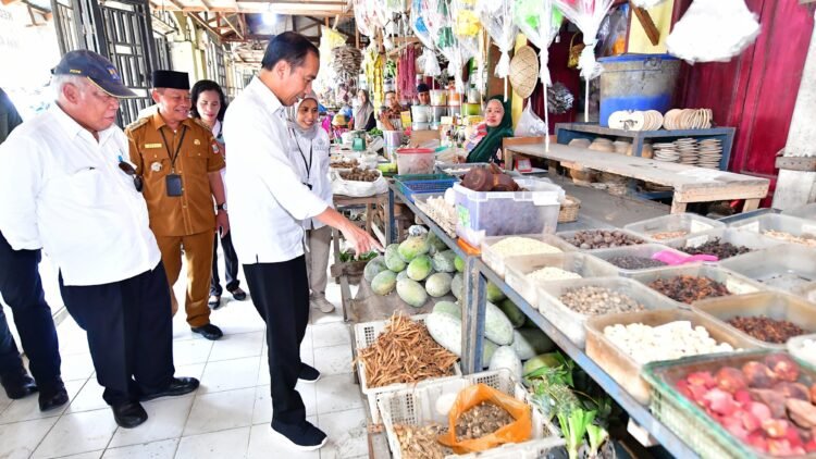 Presiden Jokowi Cek Harga dan Stok Bahan Pokok di Pasar Kawat Tanjungbalai