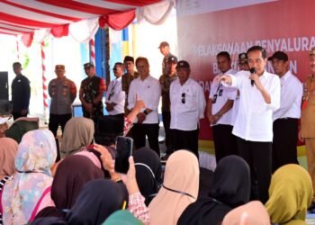 Presiden Jokowi Serahkan Bantuan Pangan dan Tinjau Stok Beras di Tolitoli