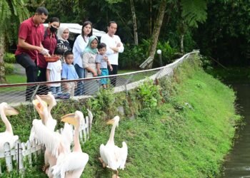 Akhir Pekan Bersama Keluarga, Presiden Jokowi Ajak Cucu Wisata Pengenalan Satwa
